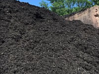 Black Mulch